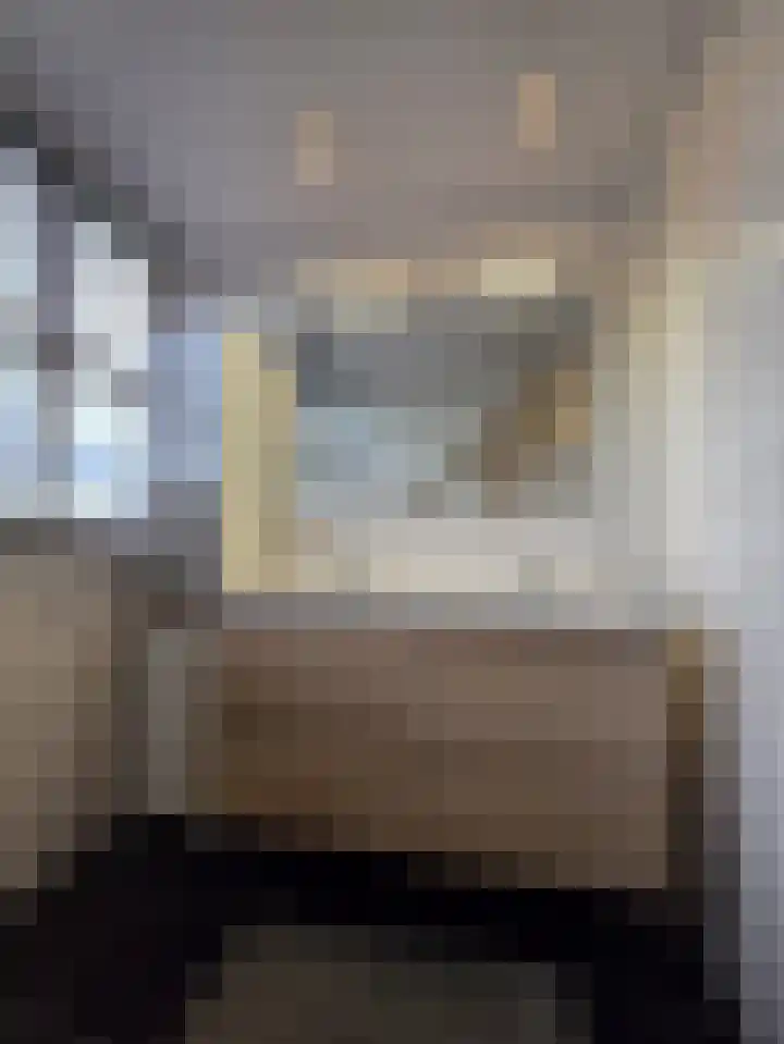 Broekfinne 155 De Wilgen thumbnail 34