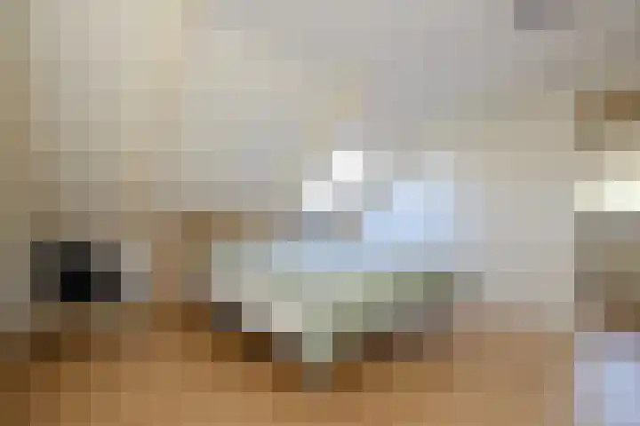 Broekfinne 155 De Wilgen thumbnail 39