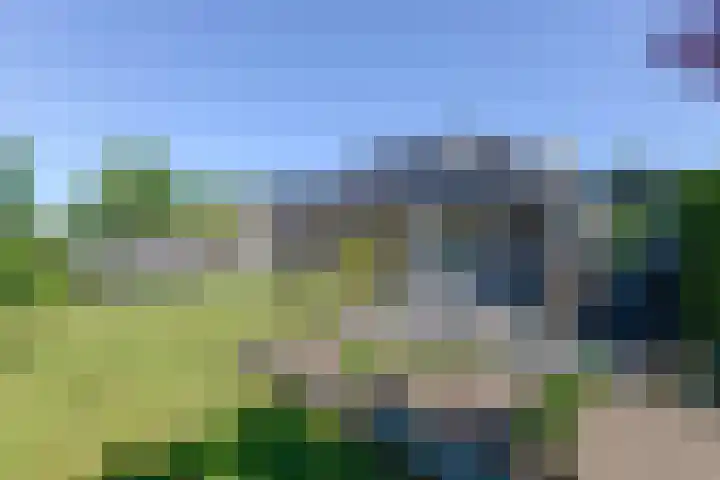 Broekfinne 155 De Wilgen thumbnail 45