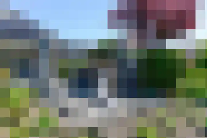 Broekfinne 155 De Wilgen thumbnail 46