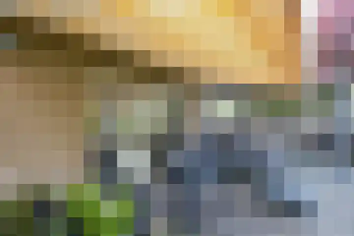 Broekfinne 155 De Wilgen thumbnail 47