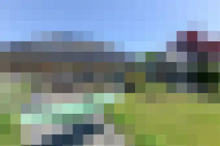 Broekfinne 155 De Wilgen thumbnail 48