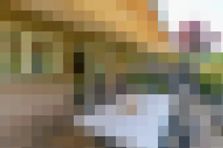 Broekfinne 155 De Wilgen thumbnail 49