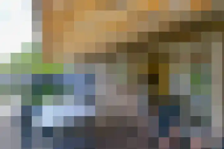 Broekfinne 155 De Wilgen thumbnail 50