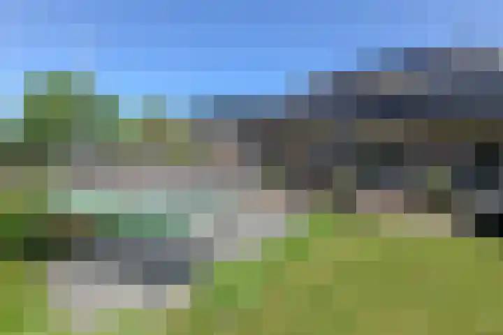 Broekfinne 155 De Wilgen thumbnail 52