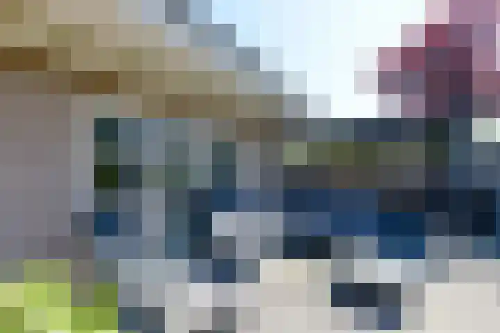 Broekfinne 155 De Wilgen thumbnail 53