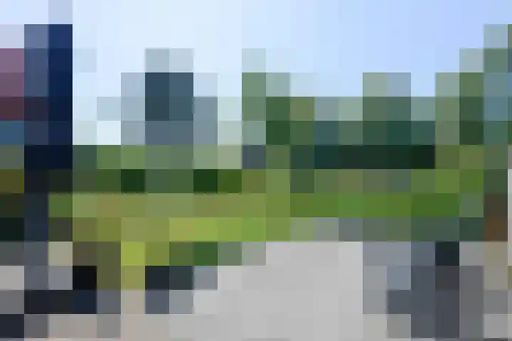 Broekfinne 155 De Wilgen thumbnail 54
