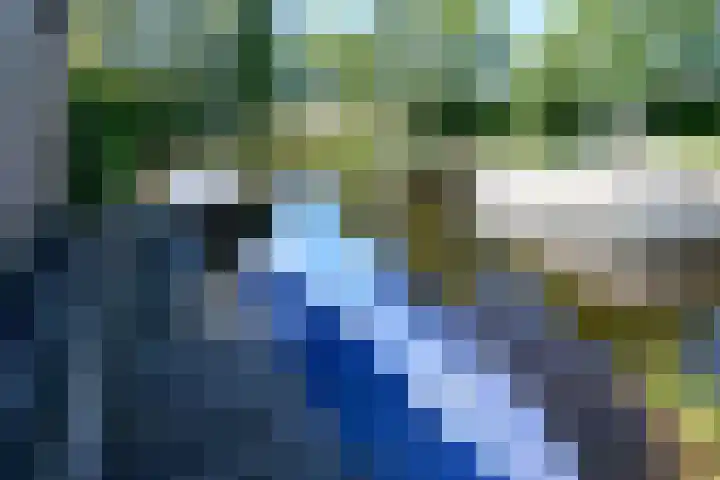 Broekfinne 155 De Wilgen thumbnail 55