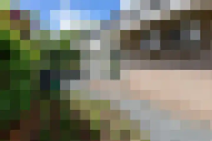 Broekfinne 155 De Wilgen thumbnail 56