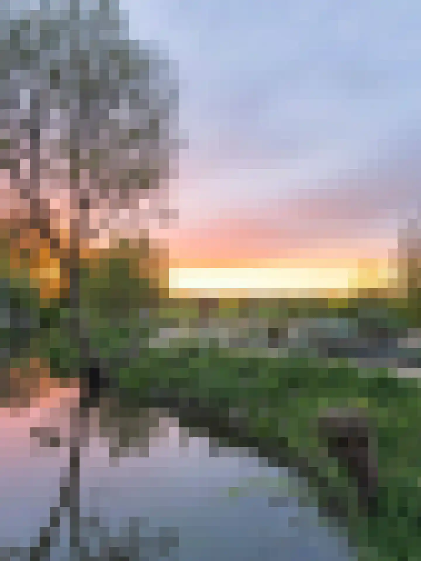 Broekfinne 155 De Wilgen thumbnail 58