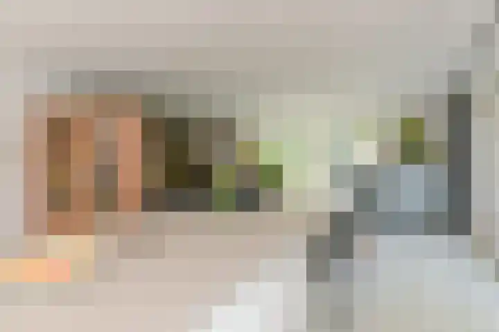 Broekfinne 155 De Wilgen thumbnail 7