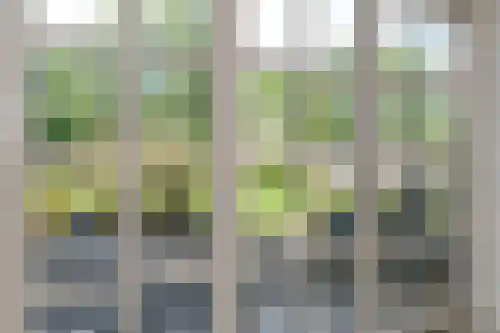 Broekfinne 155 De Wilgen thumbnail 8