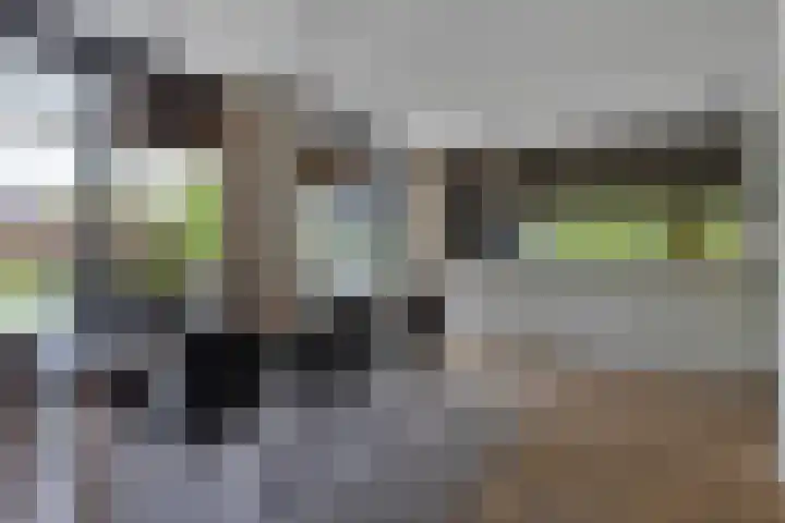 Broekhoek 8 Heesch thumbnail 12