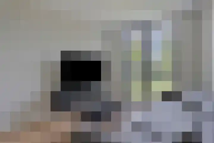 Broekhoek 8 Heesch thumbnail 17