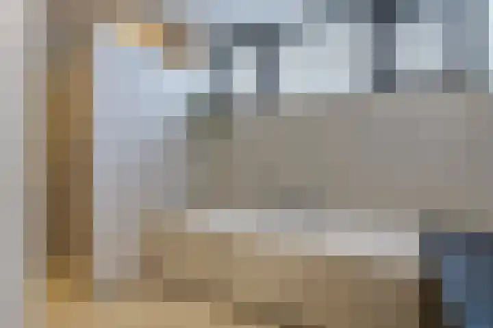 Broekhoek 8 Heesch thumbnail 26
