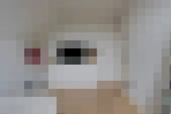 Broekhoek 8 Heesch thumbnail 29