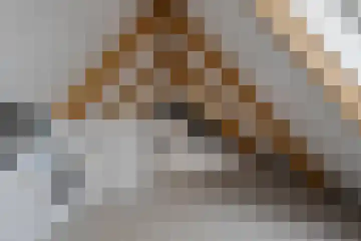 Broekhoek 8 Heesch thumbnail 37