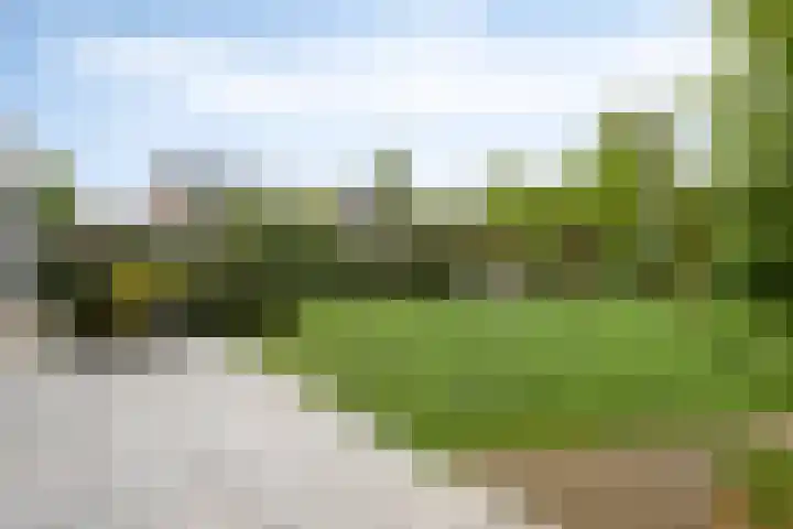 Broekhoek 8 Heesch thumbnail 42