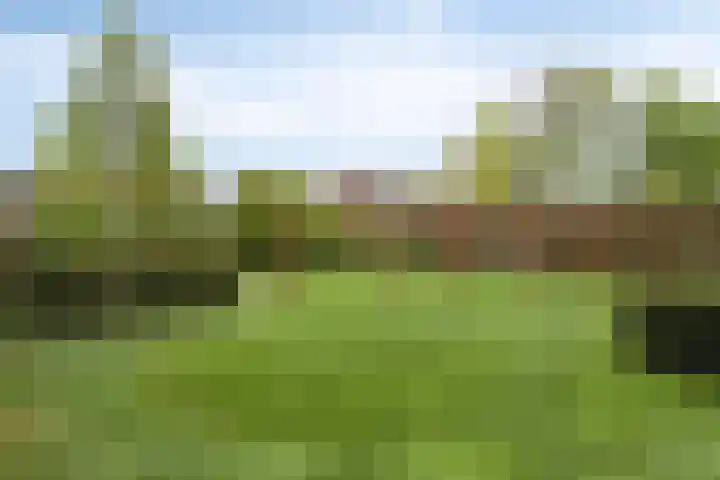 Broekhoek 8 Heesch thumbnail 43