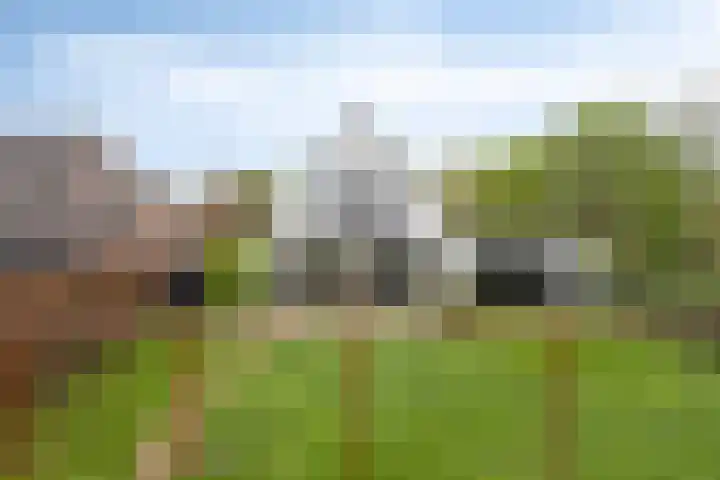 Broekhoek 8 Heesch thumbnail 49