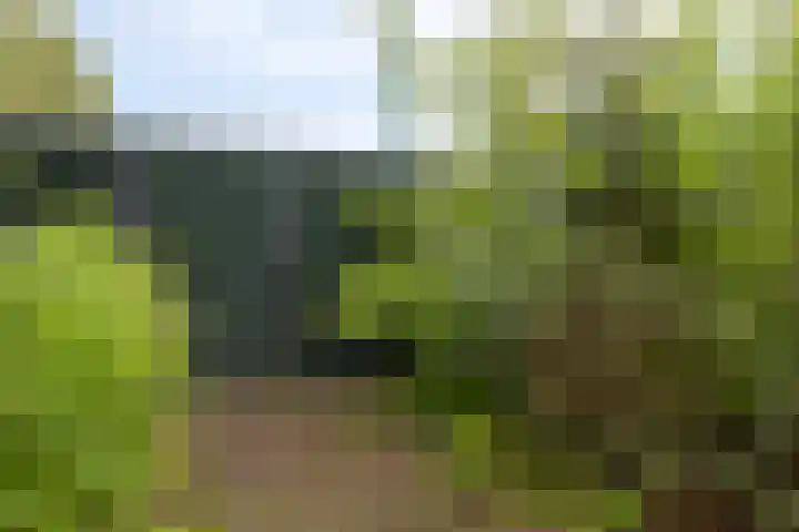 Broekhoek 8 Heesch thumbnail 51