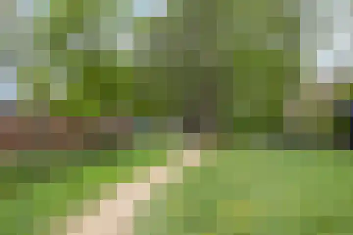 Broekhoek 8 Heesch thumbnail 59