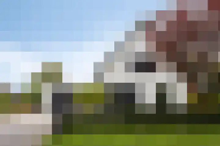 Broekhoek 8 Heesch thumbnail 64