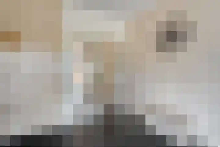 Broekmaten 1 Den Ham thumbnail 14