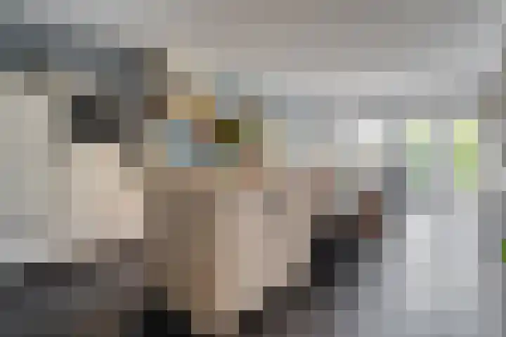 Broekmaten 1 Den Ham thumbnail 16