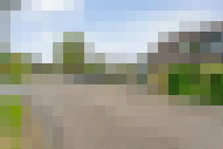 Broekmaten 1 Den Ham thumbnail 6