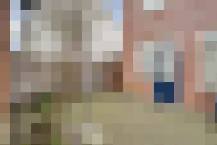 Broekmaten 16 Den Ham thumbnail 35