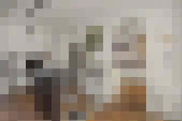 Broekmorgen 44 Uden thumbnail 15