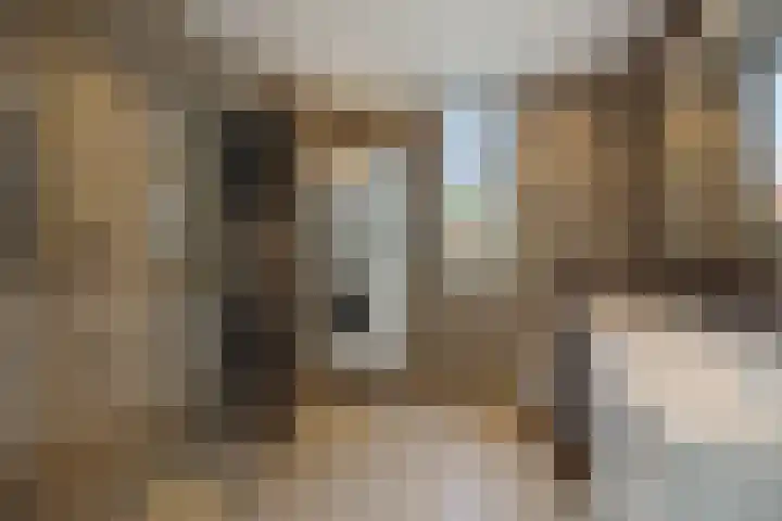 Broekmorgen 44 Uden thumbnail 23