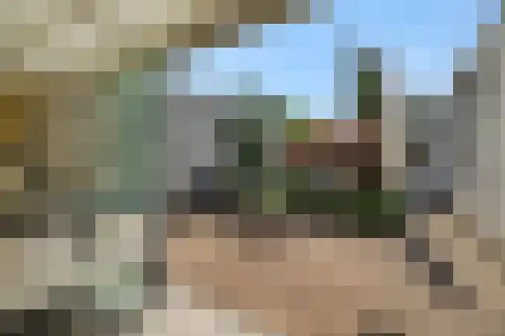 Broekmorgen 44 Uden thumbnail 31