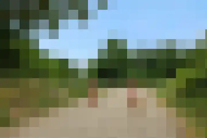 Broekmorgen 44 Uden thumbnail 36