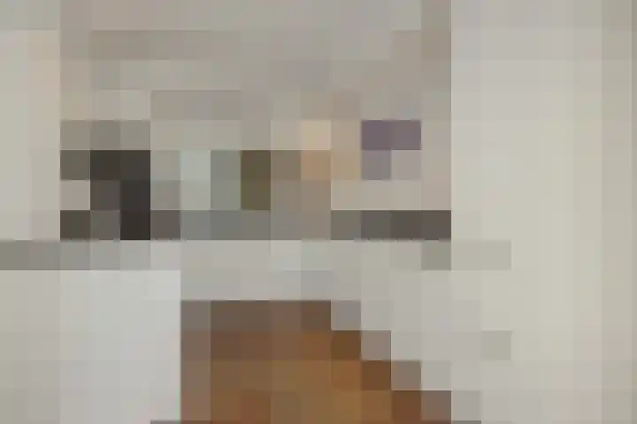 Broekmorgen 44 Uden thumbnail 4