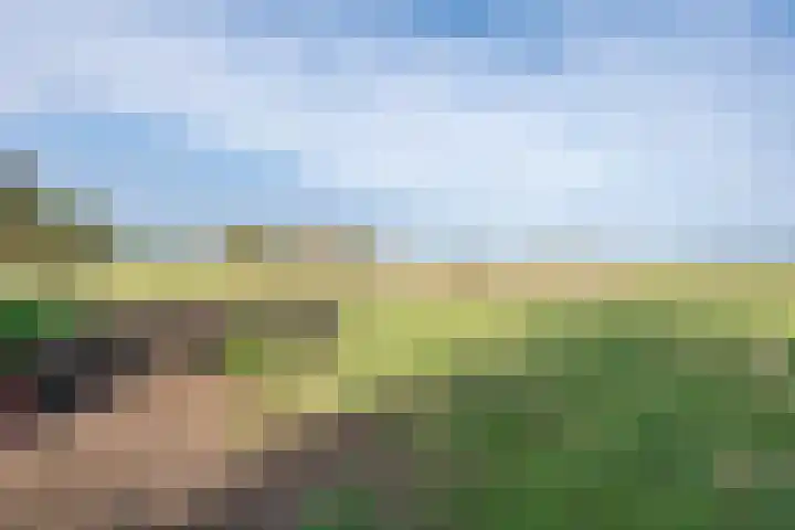 Broekstraat 2 Oploo thumbnail 11