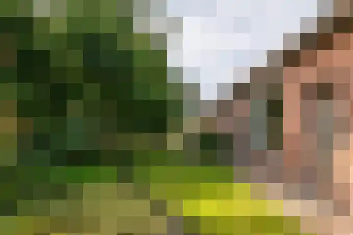 Broekstraat 2 Oploo thumbnail 13