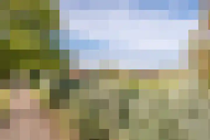 Broekstraat 2 Oploo thumbnail 15