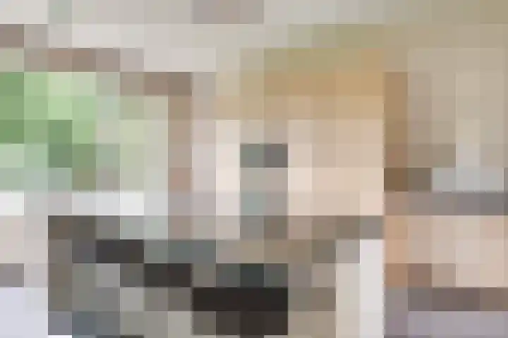 Broekstraat 2 Oploo thumbnail 23
