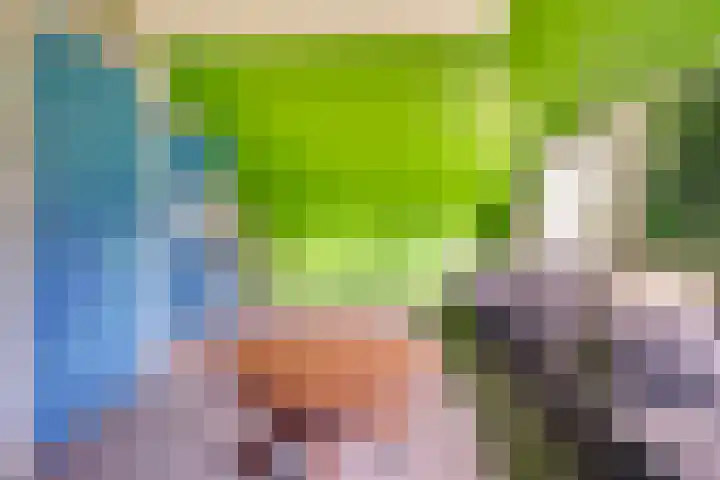 Broekstraat 2 Oploo thumbnail 38