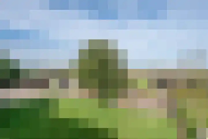 Broekstraat 2 Oploo thumbnail 42