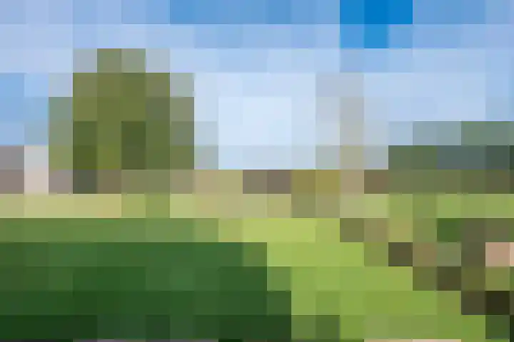 Broekstraat 2 Oploo thumbnail 47