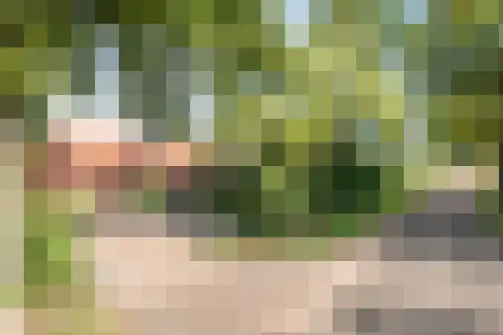 Broekstraat 2 Oploo thumbnail 7