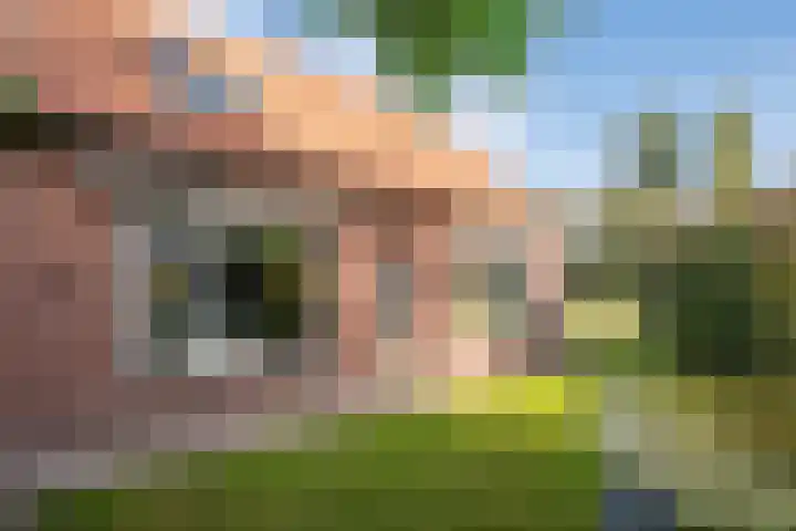 Broekstraat 2 Oploo thumbnail 9