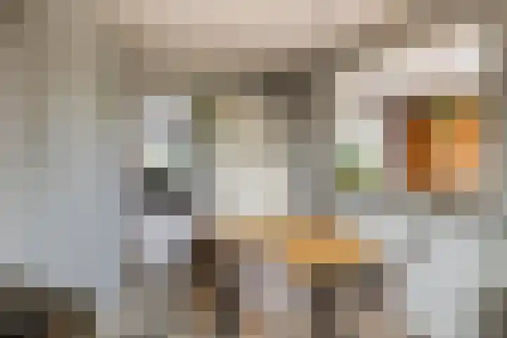 Broekstraat 25 Hernen thumbnail 18