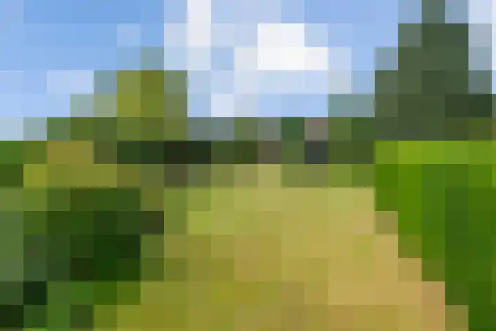 Broekstraat 25 Hernen thumbnail 36