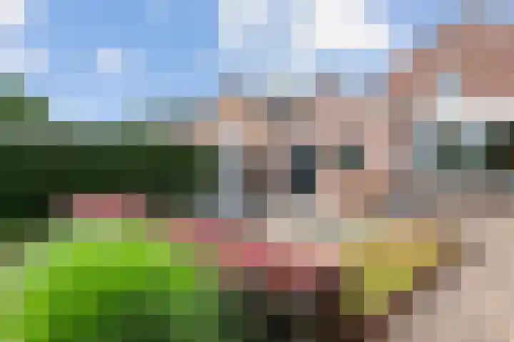 Broekstraat 25 Hernen thumbnail 43