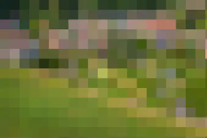 Broekstraat 25 Hernen thumbnail 50