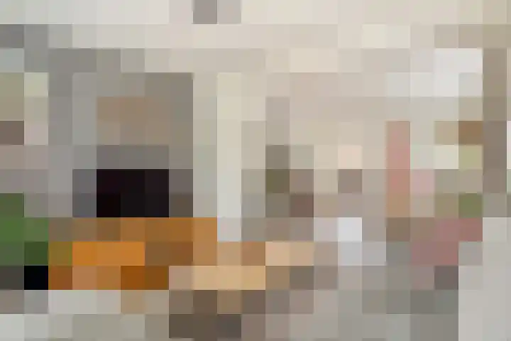 Broekstraat 25 Hernen thumbnail 9